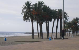 leie leilighet spania