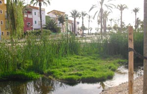 leie leilighet villayojosa